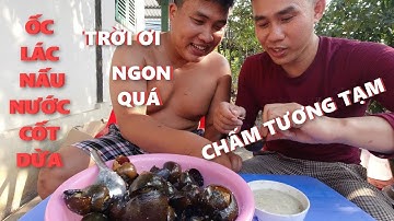 ốc lác nấu nước cốt dừa thơm ngon tới con cuối cùng /KVAC