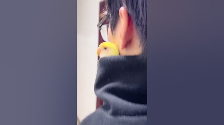 真幸福 暗中观察 事情变得有趣了起来