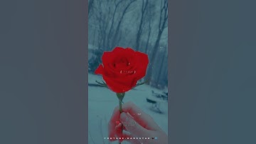 Stereo Hearts x Talking To The Moon x Play Date Whatsapp Status | English Song Status