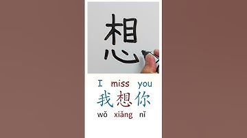 How to Write I MISS YOU in Chinese Language Wo Xiang Ni 我想你 in Chinese Characters Handwriting
