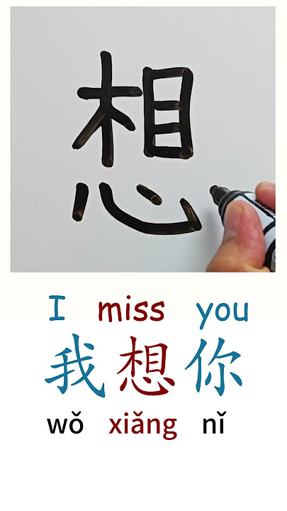 How to Write I MISS YOU in Chinese Language Wo Xiang Ni 我想你 in Chinese Characters Handwriting