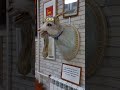 Музей козла в Твери #тверь #путешествия