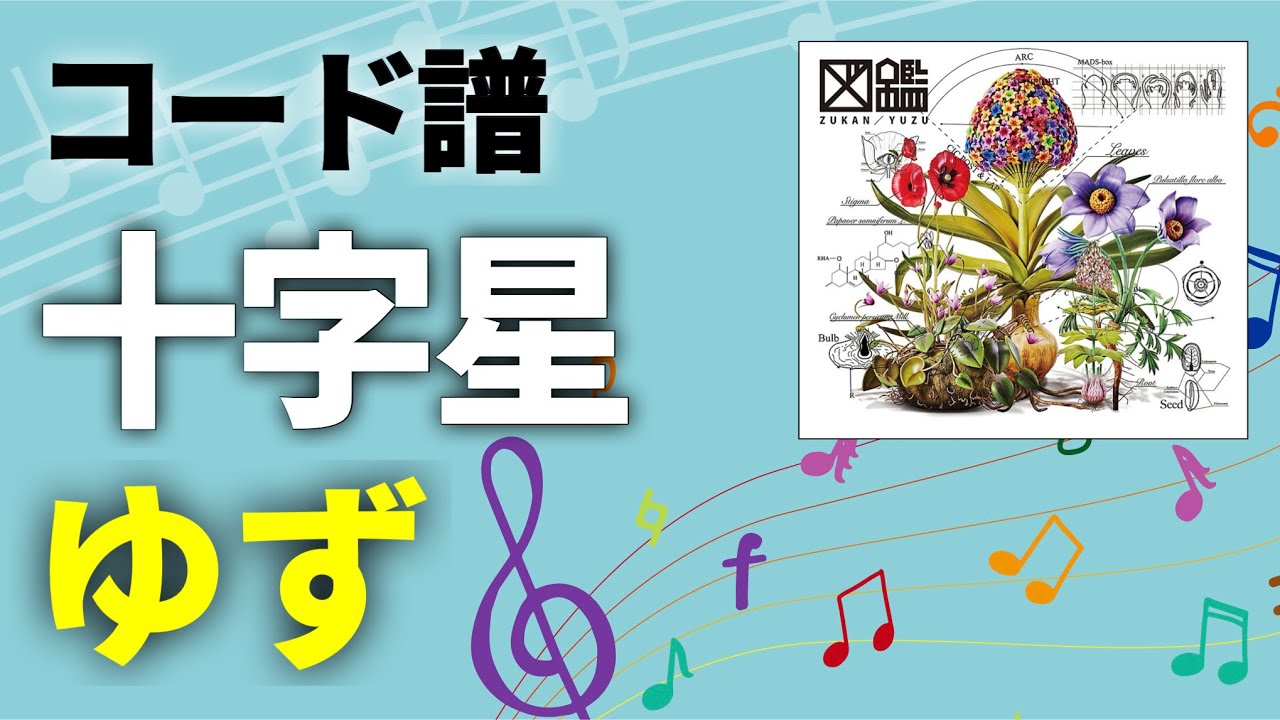 【コード譜】十字星 / ゆず（氷艶 hyoen 2024 −十字星のキセキ− 主題歌）【ゆず図鑑】