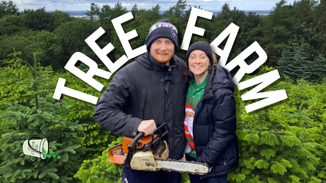 Dublin Has A Christmas Tree farm where you cut down your own tree 🎄🪚 ...