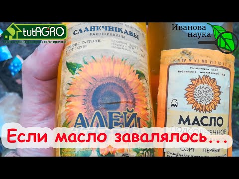 Видео: Безопасно ли масло нима для божьих коровок? Использование масла нима в присутствии божьих коровок