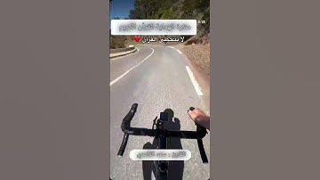 "الله يعلم ماتحمل كل انثى وما تغيض الارحام وما تزداد " | تلاوة عطرة بصوت القارئ سعد الغامدي