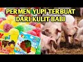 PERMEN YUPI TERBUAT DARI KULIT BABI❓INI FAKTANYA