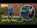 Planting potatoes | WHEN to plant potatoes & HOW to do it