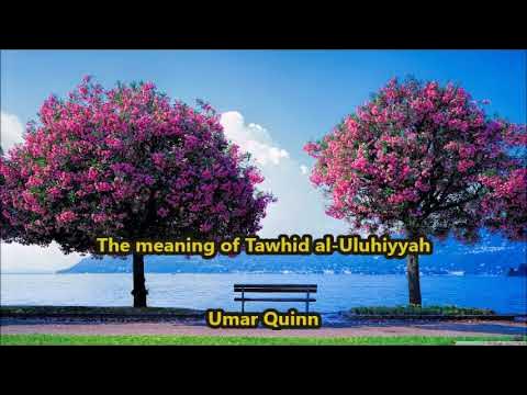 The meaning of Tawhid al Uluhiyyah by Umar Quinn 