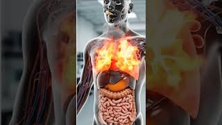 What Happens Inside Your Body When You Smoke a Cigarette? | 3D Health Animation Profile