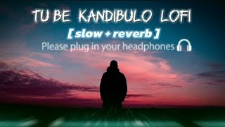 Tu bi Kandibulo semiti part 2 | slow & reverb |     human sagar sad lofi song