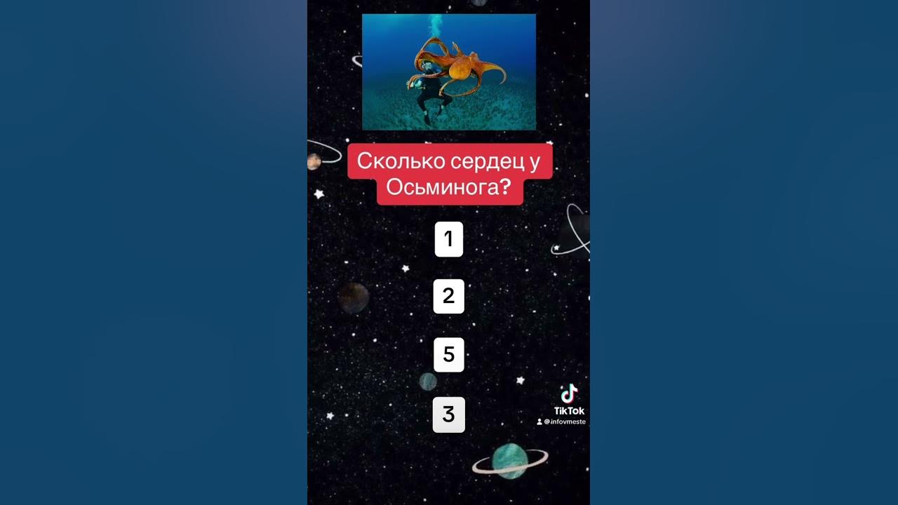 Сколько сердец у осьминога? 🧙‍♂️ - YouTube