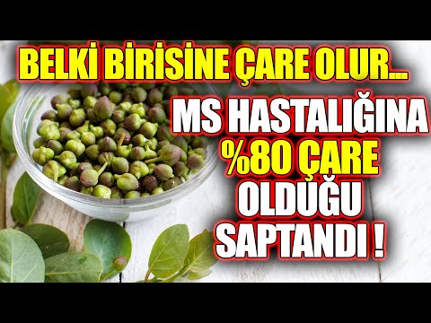 Belki Birisine Çare Olur. Ms Hastalığında Yüzde 80 Çare Olduğu Saptandı