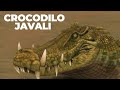 Kaprosuchus um crocodilo com presas de javali