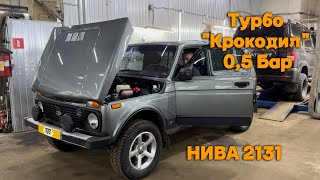 видео: Турбо  картинка: Турбо