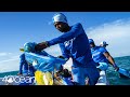 4ocean Haiti | Cleaning Millions of Pounds of Ocean Plastic