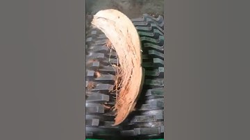 Shredding Coconut Shell