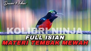 Download Lagu KONIN GACOR FULL ISIAN MEWAH KOMPILASI TEMBAKAN KASAR TAJAM COCOK UNTUK MASTERAN KOLIBRI NINJA BAHAN MP3 Download Lagu KONIN GACOR FULL ISIAN MEWAH KOMPILASI TEMBAKAN KASAR TAJAM COCOK UNTUK MASTERAN KOLIBRI NINJA BAHAN MP3