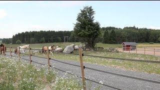 HIT Active Stable Presentation
