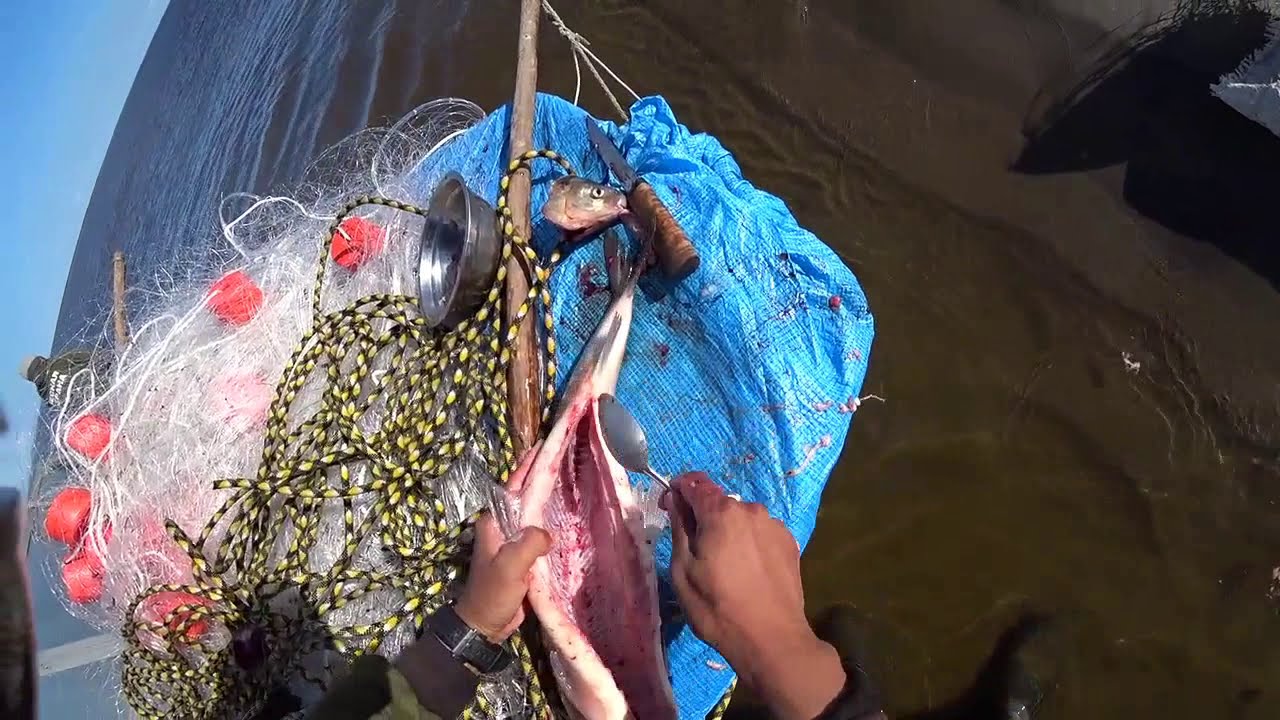 Чир -Трудовая рыбалка Якутия Yakutia