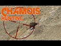Alpine chamois hunting in france 22  chasse au chamois en france 22  2019