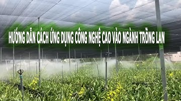 Hướng dẫn ÁP DỤNG CÔNG NGHỆ CAO vào Ngành TRỒNG LAN  #Nông_Nghiệp_Đẹp