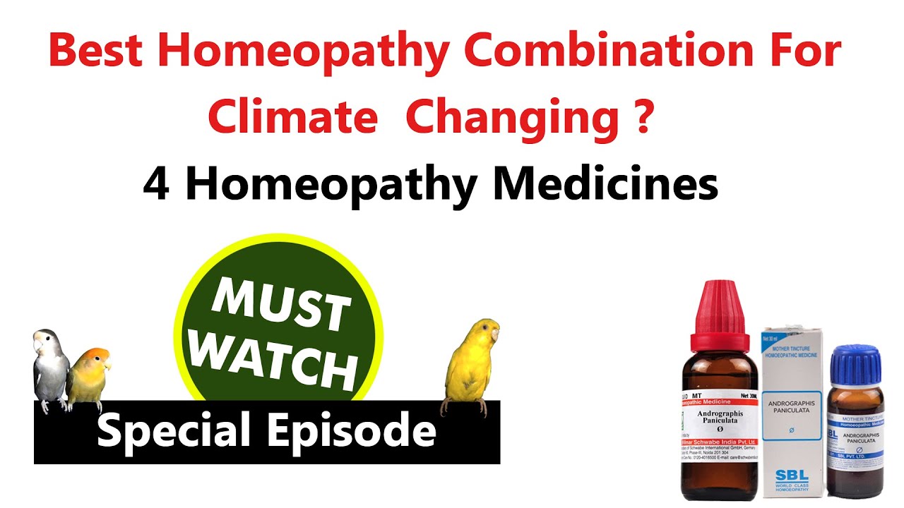 Best Homeopathy Combination For Climate Changing ? 4 Homeopathy Medicines For Our Birds
