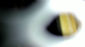 Peaking up through varroa mesh under national deep brood