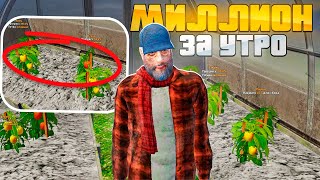 картинка: МИЛЛИОН ЗА УТРО НА ОГОРОДАХ! ПУТЬ БОМЖА #3 в GTA RADMIR