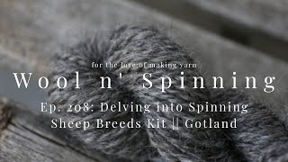 WnS Ep. 208: Delving into Spinning Sheep Breeds Kit || Gotland