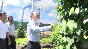 Phó Chủ tịch Quốc hội Phùng Quốc Hiển làm việc tại Gia Lai