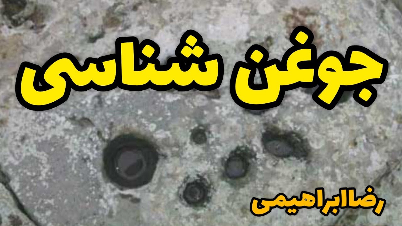 مبحث جوغن ها کلاس آموزشی جوغن ها جوغن‌شناسی جوغن به شکل قلب ...