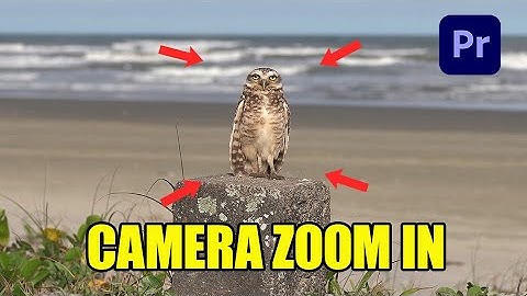 How To Add A Digital Zoom To Footage In Premiere Pro