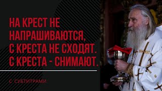 Сам Христос УПАЛ ПОД КРЕСТОМ! / архиепископ Феогност
