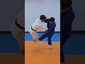 발뒤축 걸기 연결 모두걸기 Ko soto gari into Okuri ashi barai