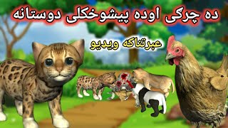 Pashto Cartoon | ده چرګى اوده پيشوخکلى دوستانه | Pashto Cartoon Story | Kashif's Cartoon