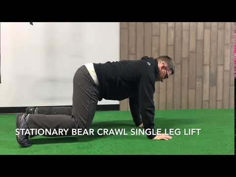 Stationary Single Leg Bear Crawl Lift