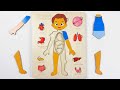 Learn Internal Organs with Puzzle Activity | Human Body Organ Game for Kids,Toddler,Preschool