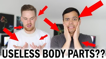 7 Useless Body Parts You Didn