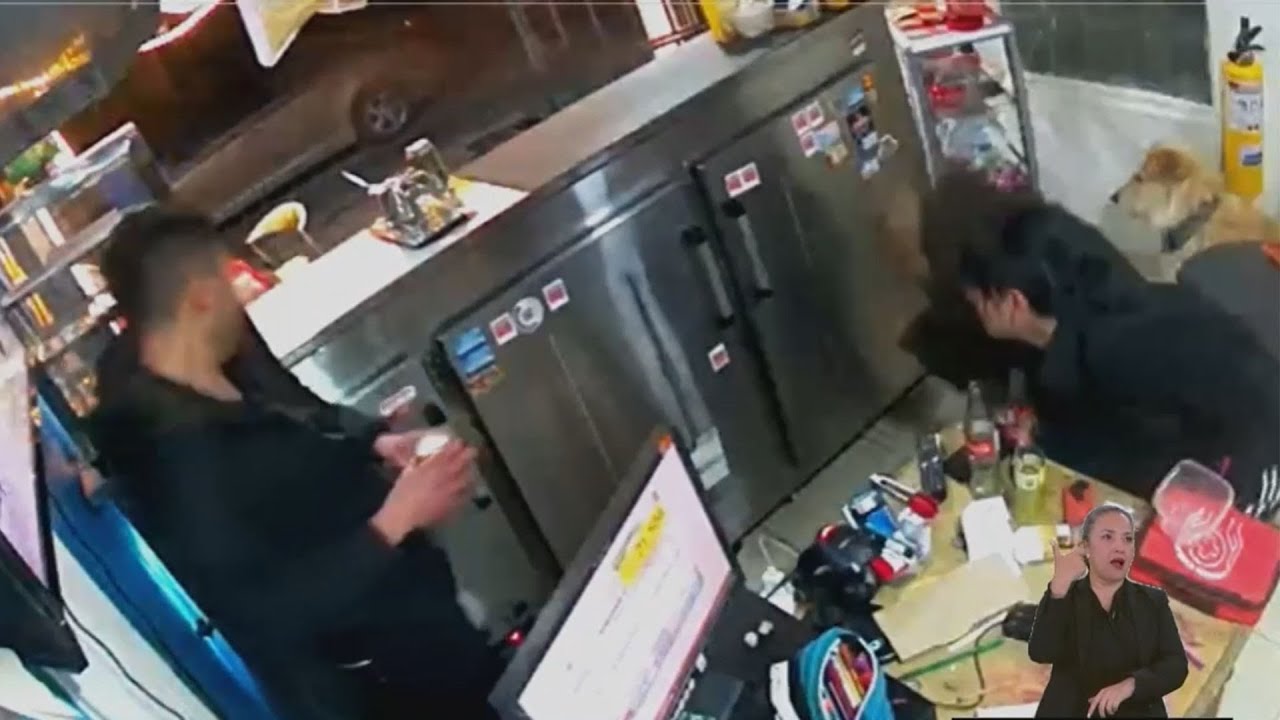 Impresionante robo: perro defendió a su dueño durante atraco en tienda de Bogotá