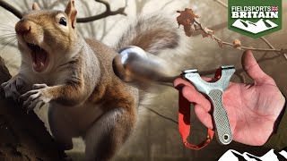 Squirrel hunting with a catapult