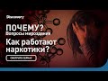 Как работают наркотики | Почему? Вопросы мироздания | Discovery