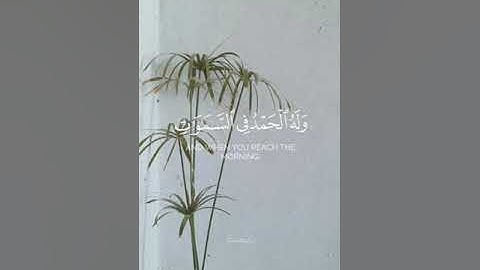 سورة الروم || ناصر القطامي