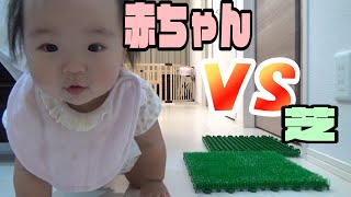 【ｖｓ】生後９か月の赤ちゃんのイタズラ防止に芝生を買ってみた。Baby vs lawn.