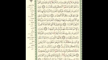 الورد اليومى.. سورة البقرة من الاية 203 الى الاية 210 بصوت القارئ الشيخ ماهر المعيقلى