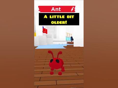How old am I? Ant Adopt Me! #roblox #adoptme - YouTube