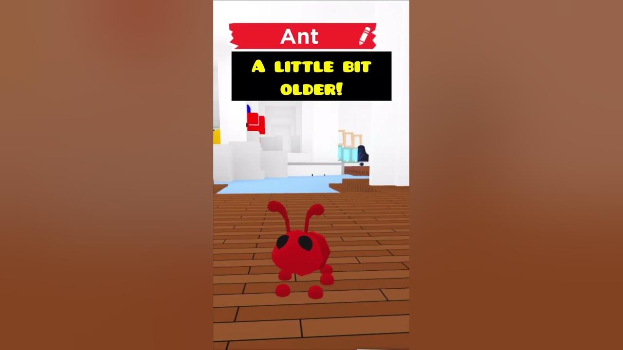 How old am I? Ant Adopt Me! #roblox #adoptme - YouTube