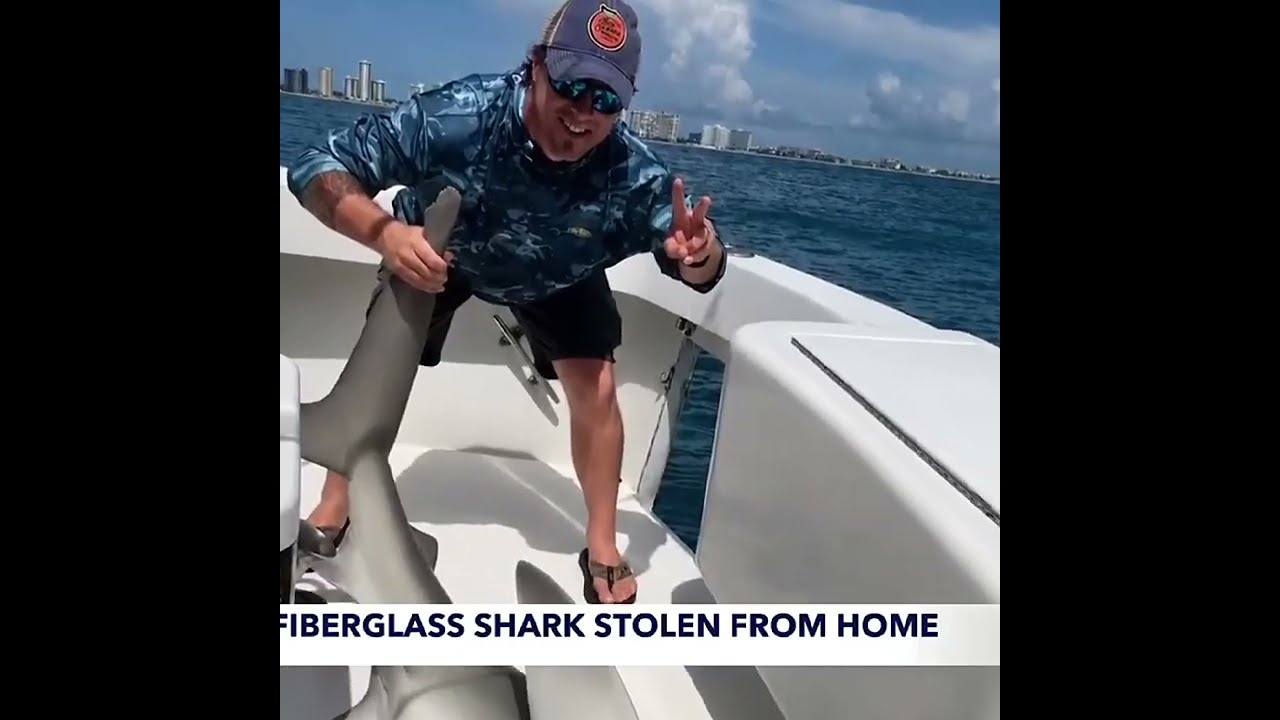 Florida Man Gets His Shark STOLEN!