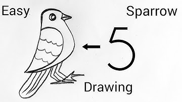 How to draw a sparrow / easy sparrow bird drawing from number 5 / sparrow drawing easy step by step
