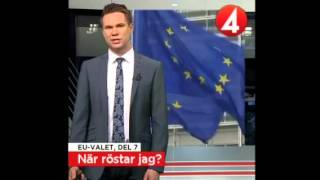 Allt du behöver veta om EU-valet - Del 7: När röstar jag?